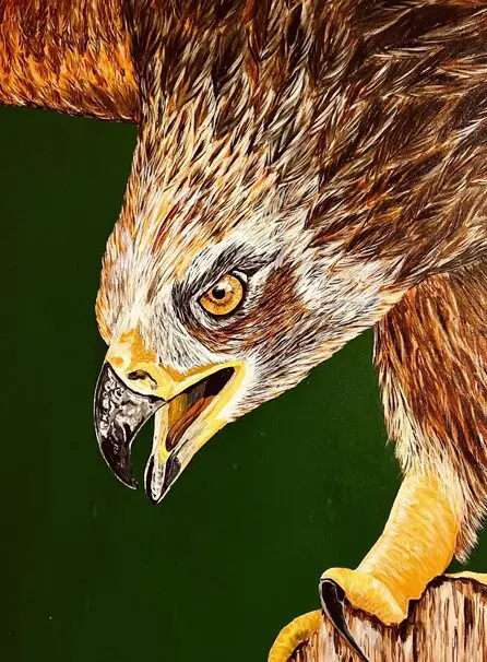 A close up of an eagle 's head with its beak open.